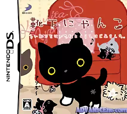 Image n° 1 - box : Kutsushita Nyanko - Shiroi Kutsushita o Haita Neko to Kurashi Hajimemashita.